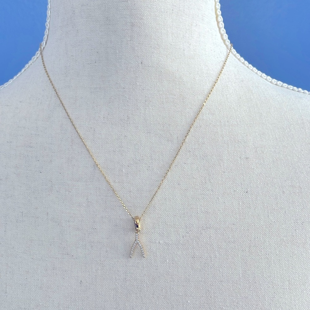 Michael Kors necklace and wishbone charm